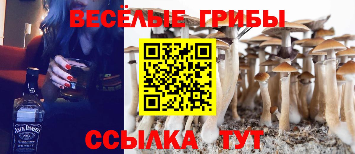Галлюциногенные грибы Magic Shrooms Кашира